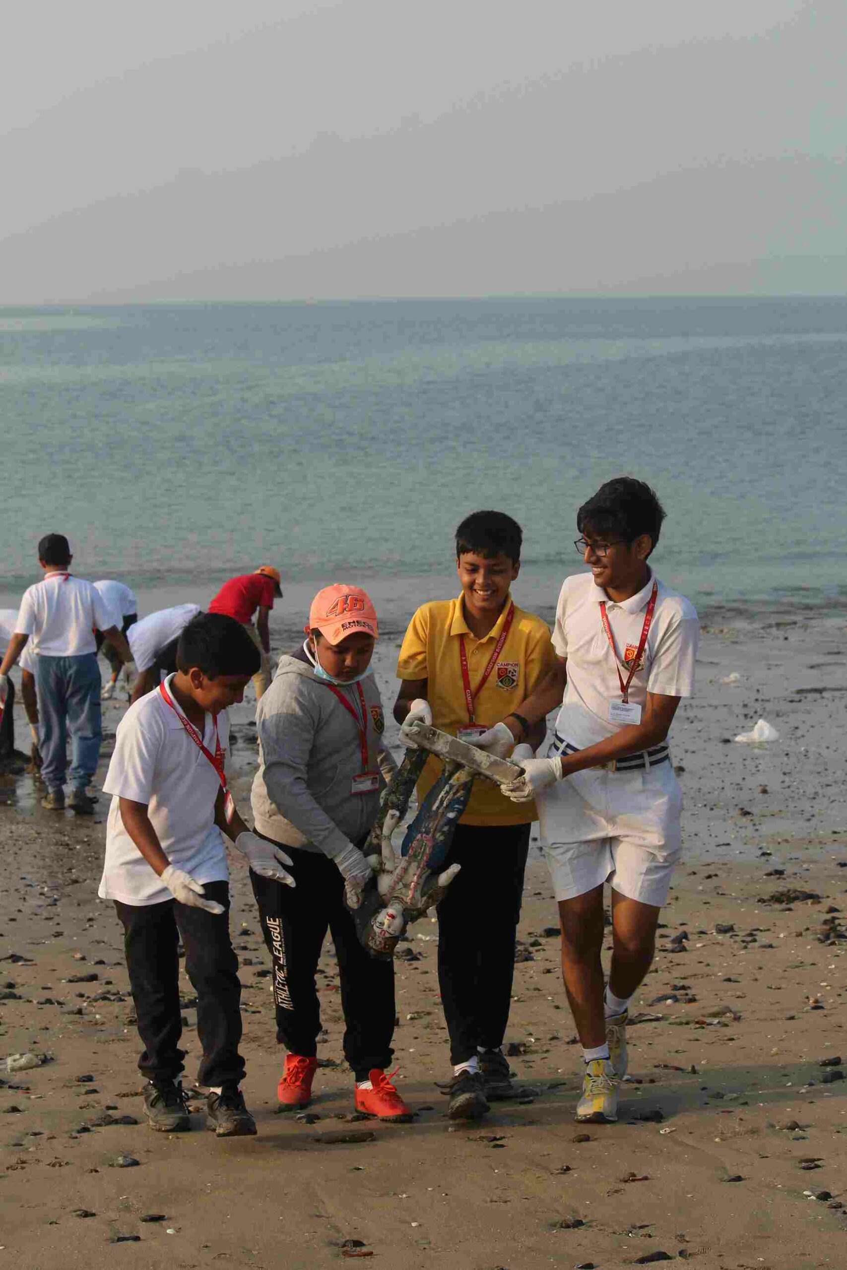 People of all age groups can be a part of these beach cleanup sessions