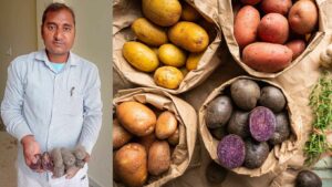 Black Potatoes? Meet the Man Taking Black Super Crops to 15 States
