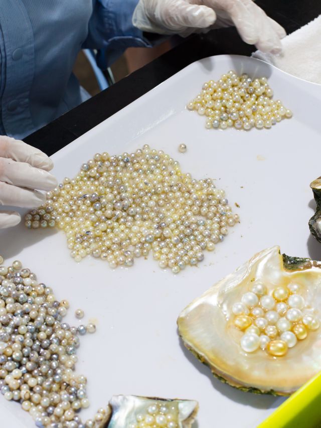 How Oyster Pearl Farming Helped Farmers Earn Rs 40 Lakh