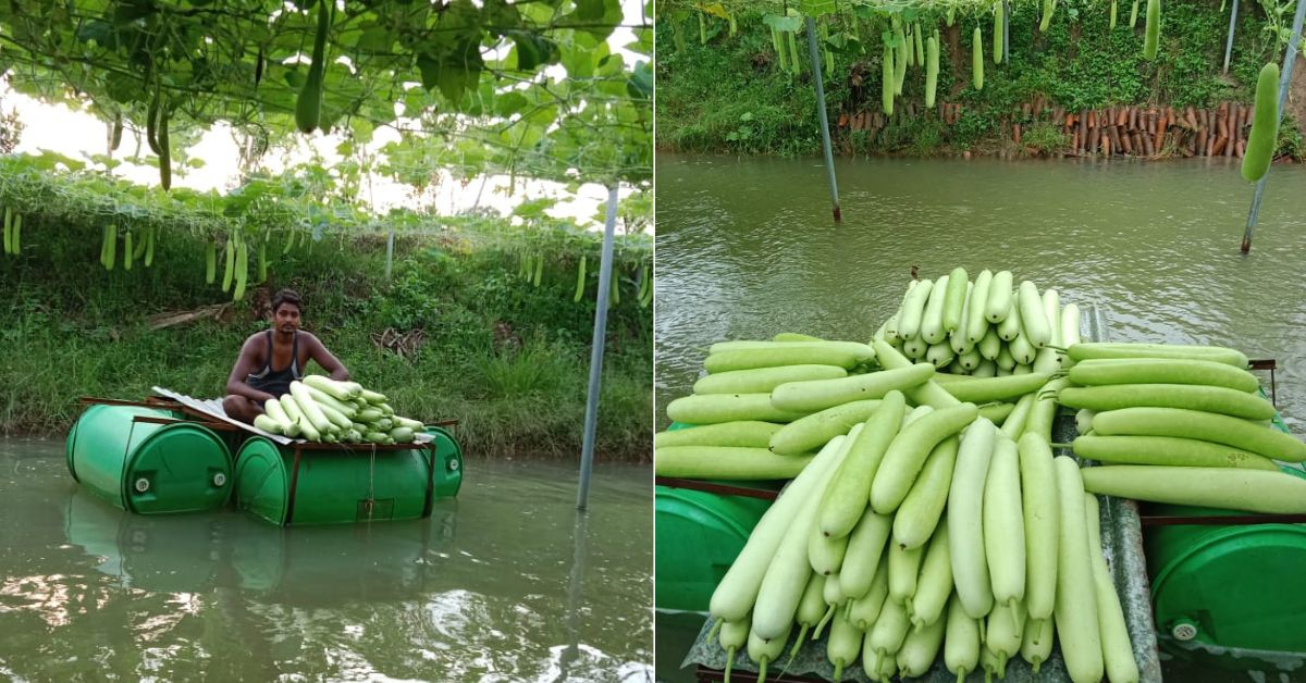 Farmer’s Unique Model Helps Him Grow Vegetables Over Ponds, Inspires Others