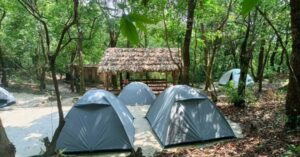 Caving, Canyoning, Treks: This Meghalaya Homestay Is The Perfect Base for Adventure Lovers