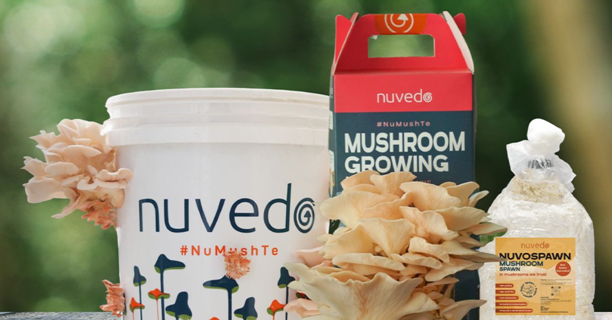 The simple DIY kit allows you to cultivate exotic mushrooms in 10 days.