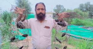 In Dry Rajasthan, a Computer Teacher Is Earning Rs 20 Lakh Per Harvest From Pearl Farming