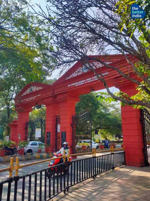 To Cubbon, With Love: A Look at How Bengaluru Adores Its Most Iconic Park