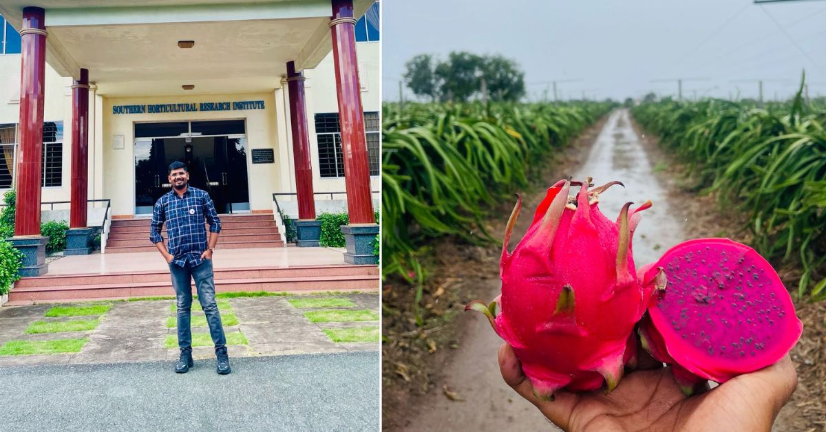 Mahesh has led the way with dragon fruit cultivation and is now earning Rs 10 lakh per acre.