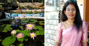 How to Grow Water Lilies at Home? Tips From Homemaker Who Earns Rs 1 Lakh/Month Selling Them