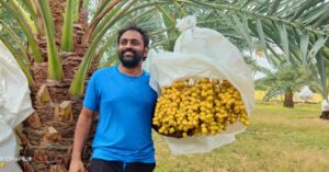'My Dad's a Farmer & This Was a Dream': Engineer Grows Rare 'Yellow Dates', Reaps Big Profits