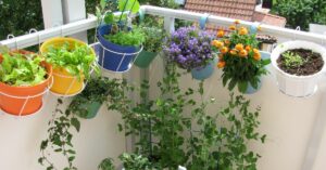 Gardening Tips For Summer: How To Protect Your Plants From the Scorching Heat
