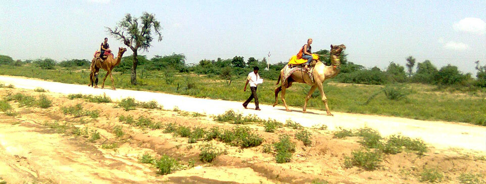 The camel safari enables guests to explore the bazaars of Jodhpur and also the local crafts