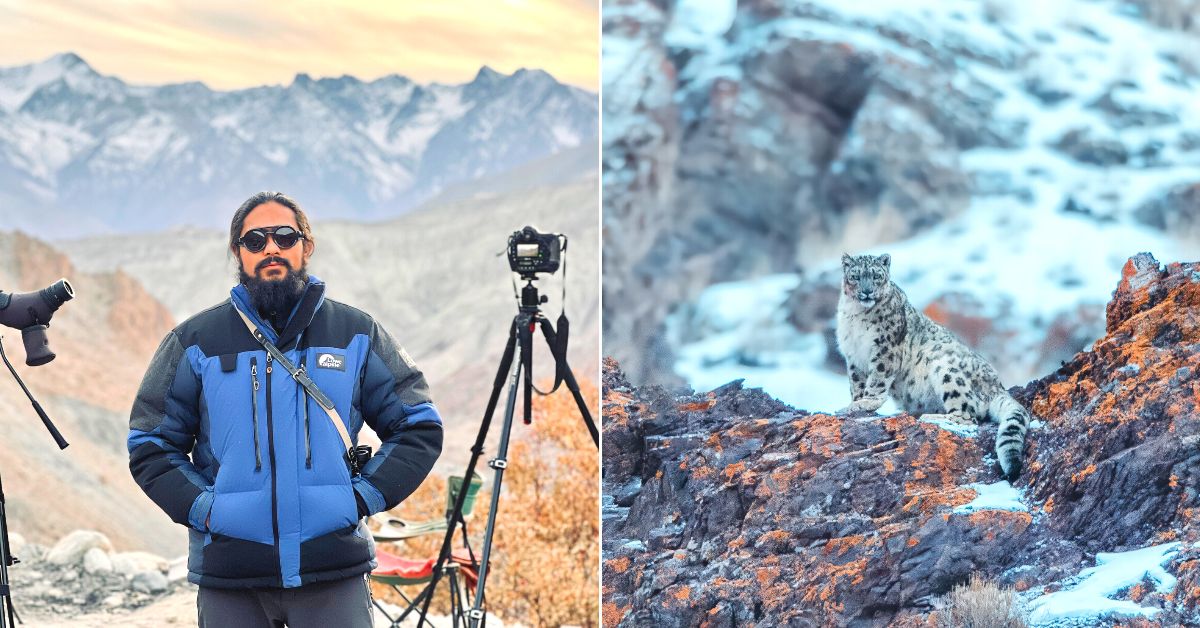 Snow Leopards & More: Photographer Takes Stunning Pics of Endangered Species in Ladakh