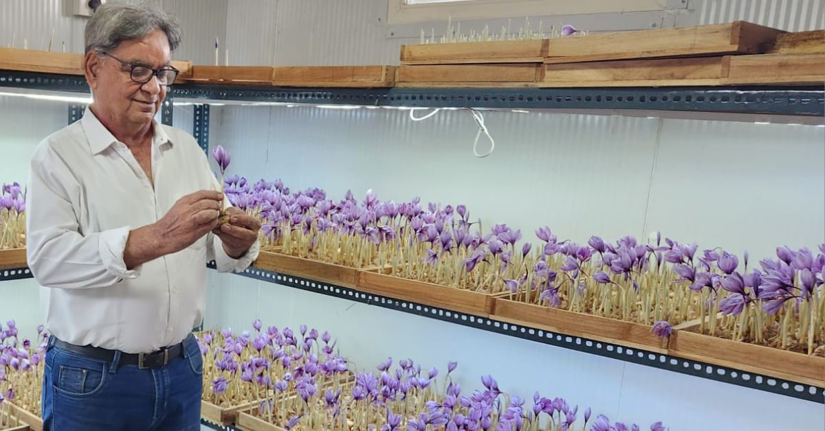65-YO Teaches How to Grow Saffron in Small Spaces at Home, Earns Rs 3.5 Lakh/Month