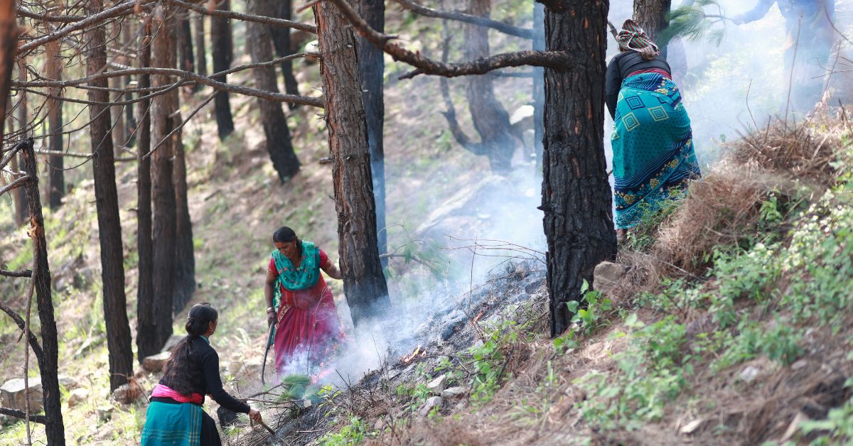 Of the total forest cover of the state, more than one-third is prone to forest fires. 