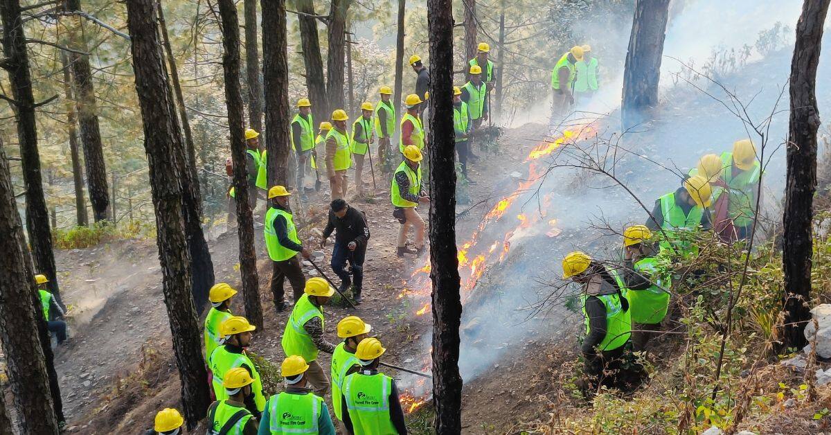 Following THF’s intervention, many volunteers were provided comprehensive training to tackle forest fires. 