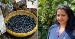 How to Grow Raspberries, Blueberries in India? Woman Uses Low-Cost Innovation to Run Berry Biz