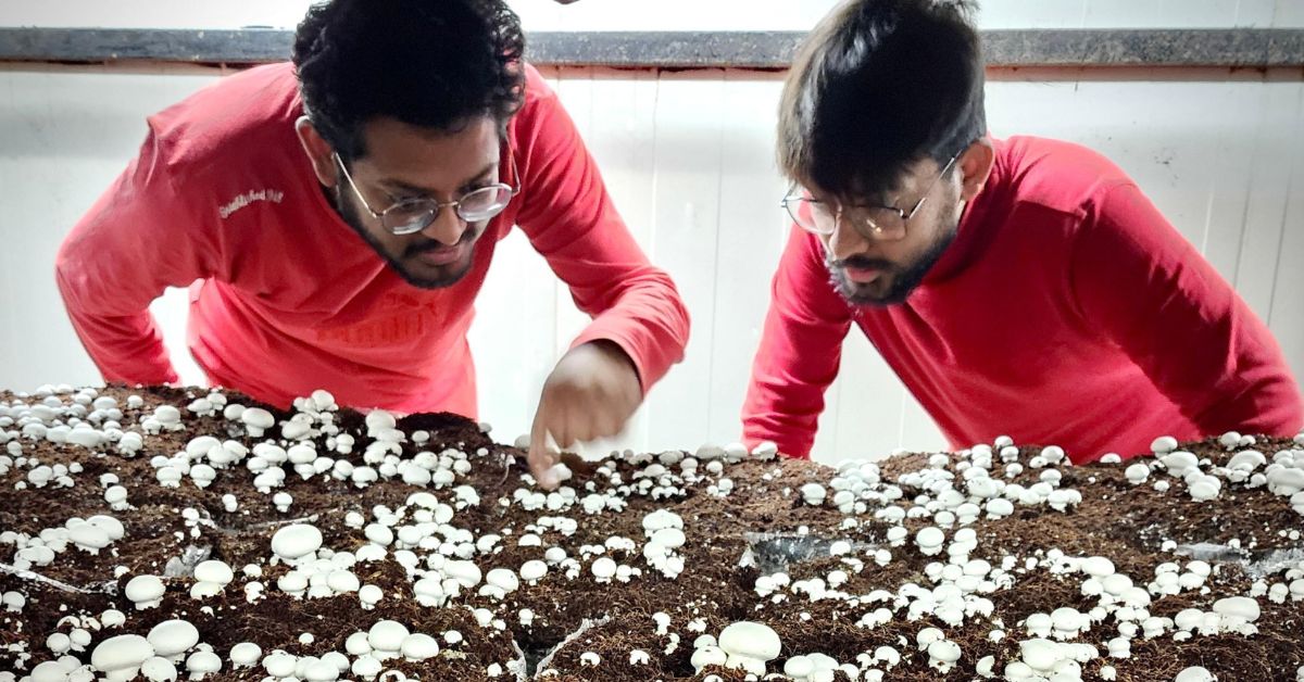 Brothers Brave Family Pressure to Farm Mushrooms, Now Earn Rs 7.5 Cr Annually