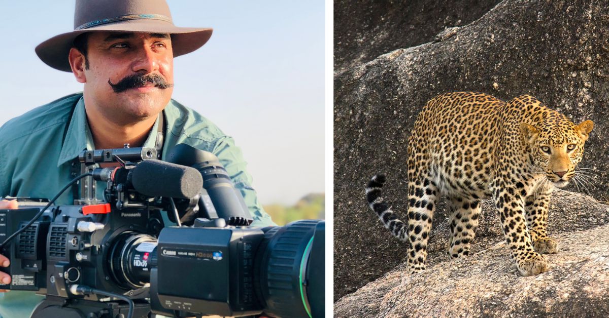 filmmaker fights government laws to conserve leopards' habitats in jawai