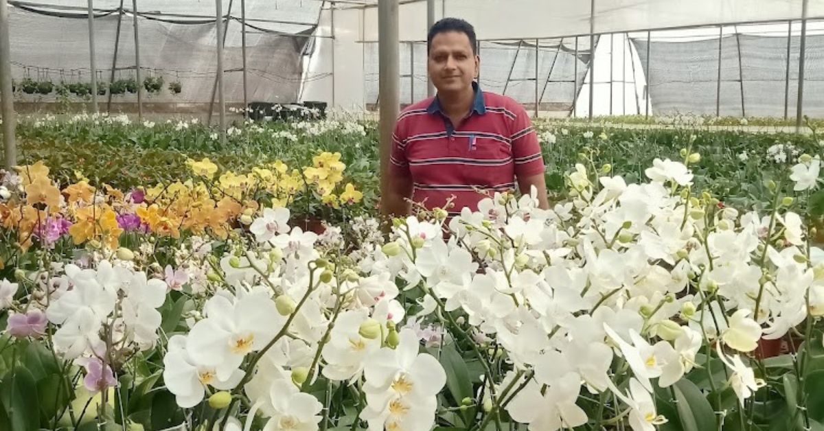 Bhausaheb Navale started the ‘Greens and Blooms’ nursery in Pune along with Sharad Patil