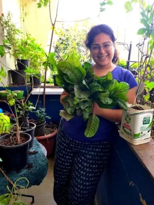 How To Grow a Kitchen Garden in Small Spaces? Mumbai Gardener Shares Steps