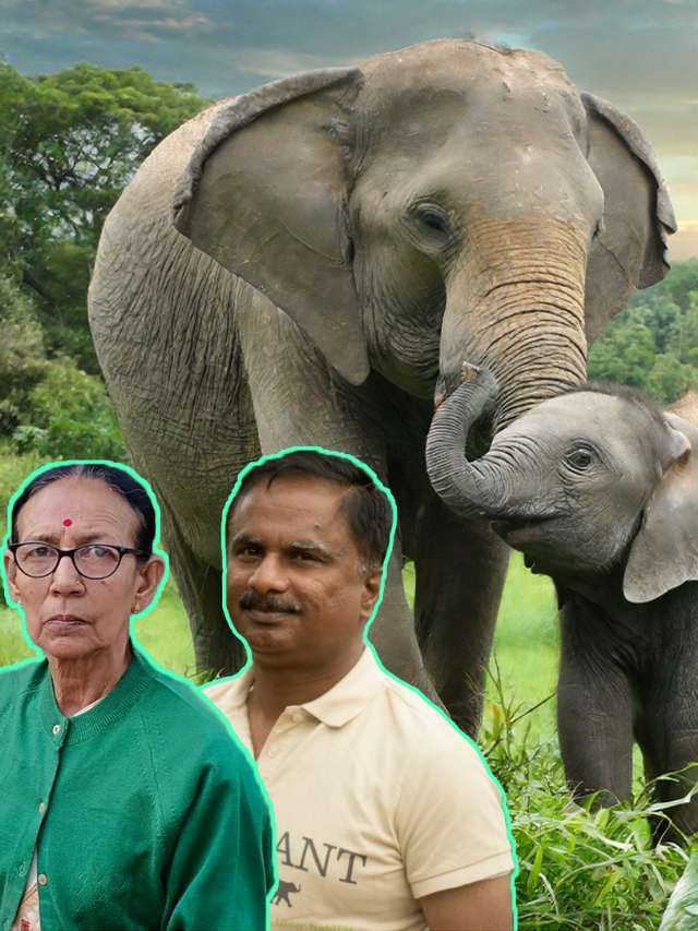 Meet 8 Heroes Who Have Dedicated Their Life to Protect Elephants in India