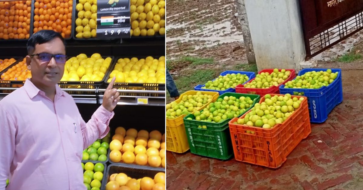 Last year, Anand says he harvested 400 crates of lemons, which were sold between Rs 40 and Rs 70 in the local market. 