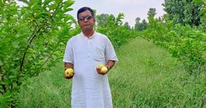 'I Took A Risk & Won': Wheat Farmer Switched to Growing Lemons, Earns Rs 7 Lakhs Per Harvest