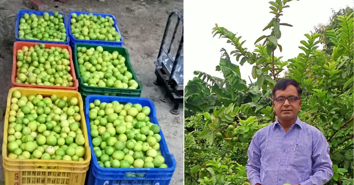 Owing to his huge success, today, Anand is dubbed the ‘Lemon Man of Raebareli’.