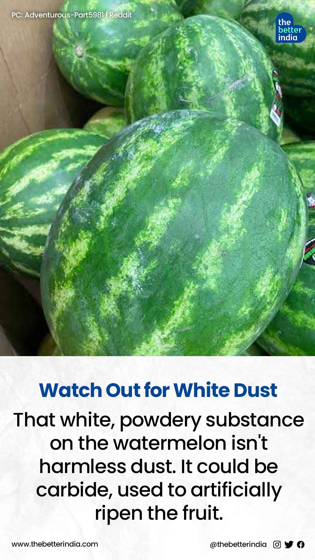 How to Identify Chemically-Injected Watermelons in the Market? 5 Steps