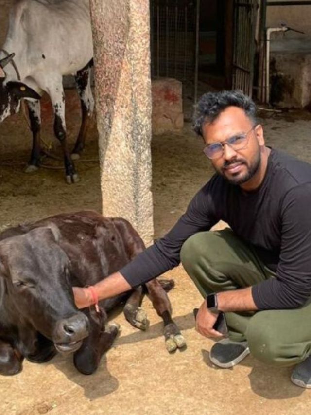 Diet Plan for Cattle? Startup Helps Farmers Earn 50% More By Feeding Their Animals Better