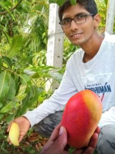 Family Runs a 'Live Mango Museum' With Over 230 Varieties; Earn Rs 45 Lakh a Year