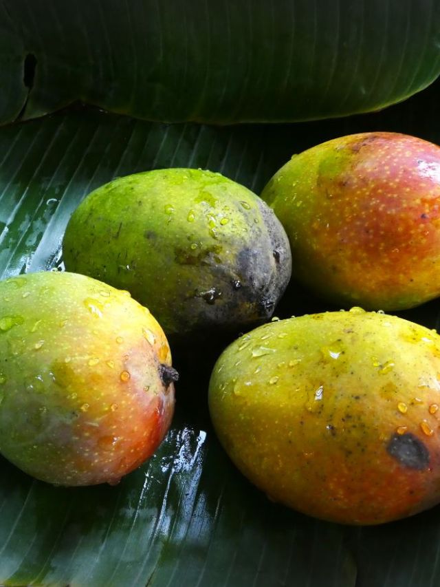 How to Identify Artificially-Ripened Mangoes Using 4 Simple Tests