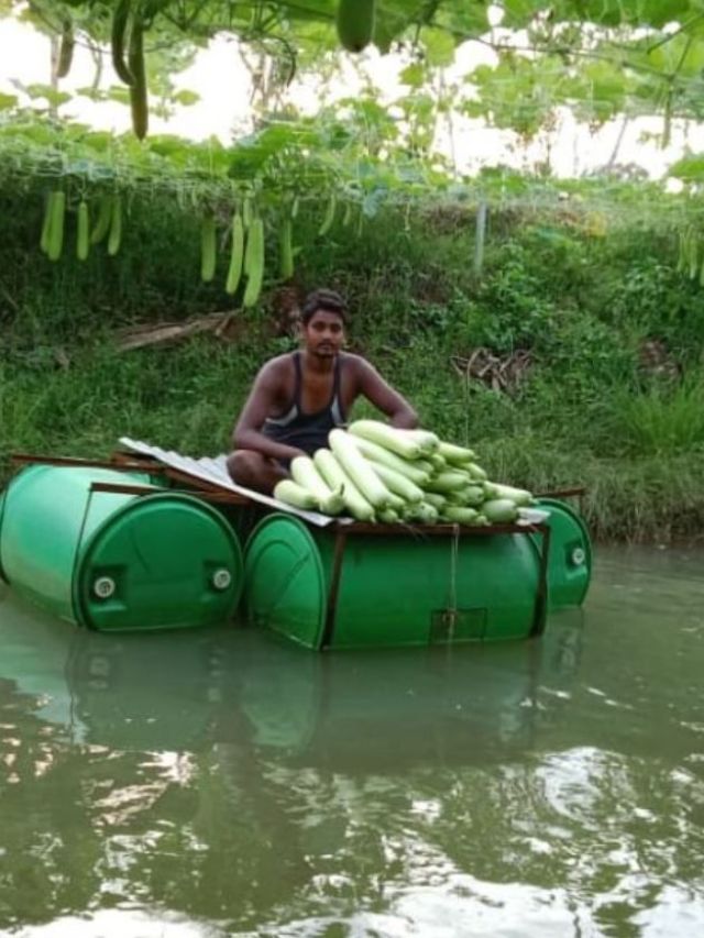 A Farmer in Odisha is Growing Vegetables On Ponds, Inspiring Agri Scientists to Learn