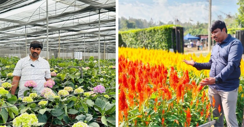 Srikanth grows more than 12 varieties of flowers in his 52-acre farmland. 