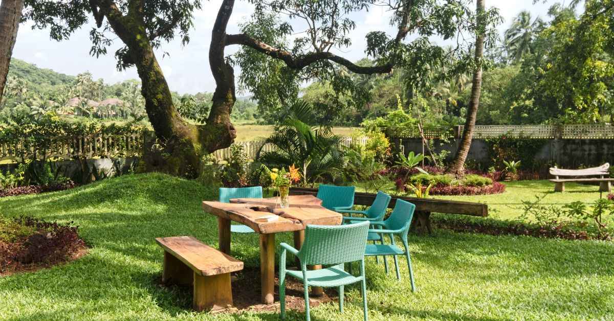 The homestay sees a bounty of flowers and fruit trees , their shade providing the perfect spot for guests can have a picnic lunch