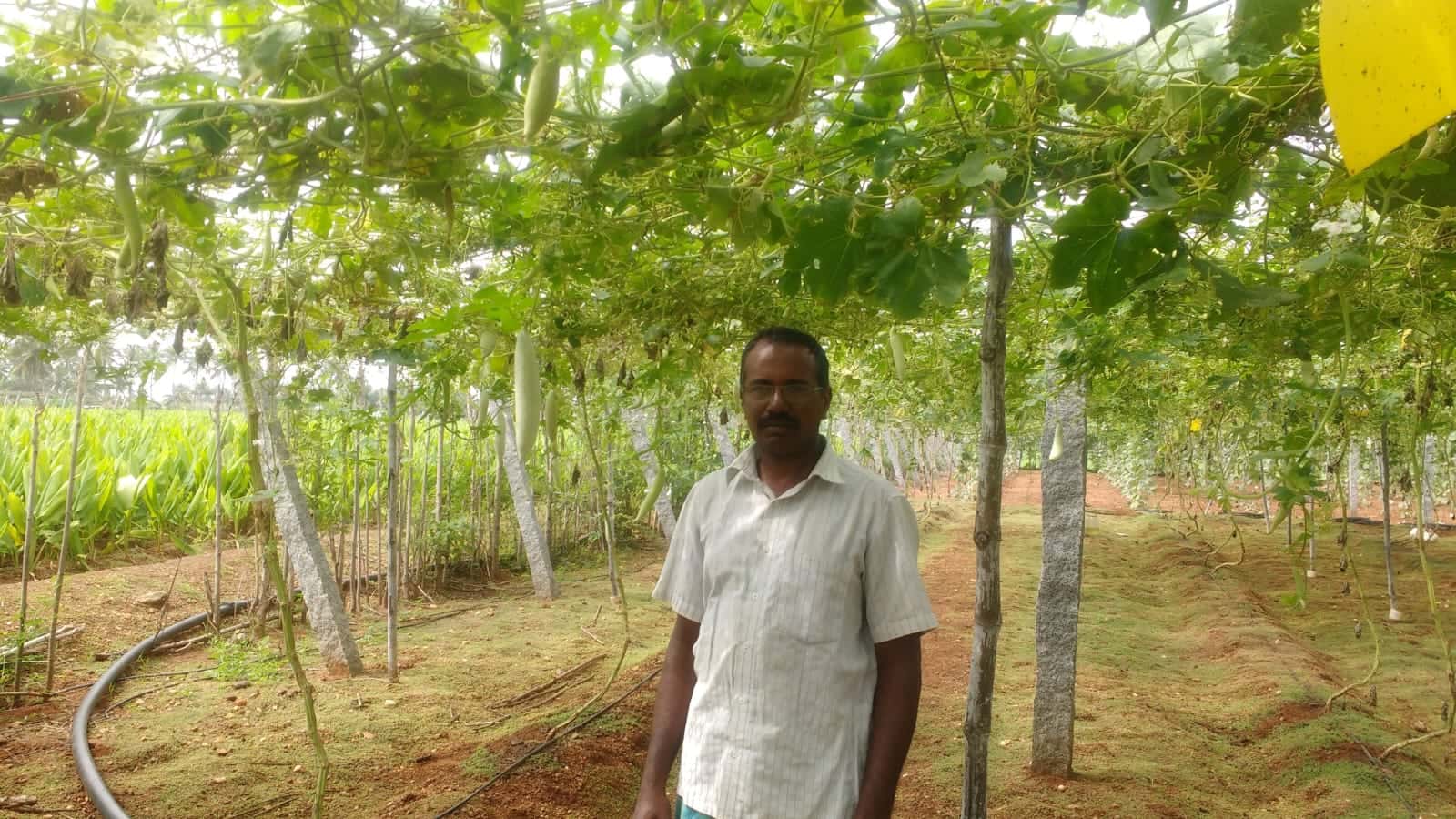 Saravanan has been practicing organic farming since 2008