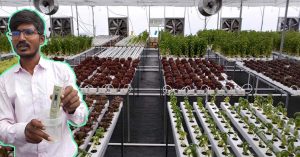 Teacher Gave Up Govt Job to Become a Farmer; Gives Free Hydroponics Training to 5000 People