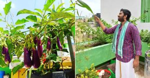 Doctor Uses Grandpa's Secrets to Grow Fruits & Veggies on Terrace; Has Helped 5000 People Learn
