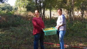Sisters in Dehradun Pursue Farming in 40s, Earn Rs 11 Lakh by Growing Gooseberry, Mangoes & More