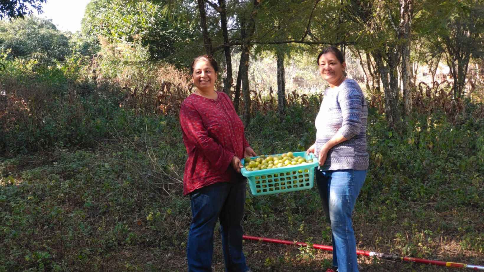 Sisters Took Up Farming in Their 40s; Earn Rs 11 Lakh Growing Gooseberries