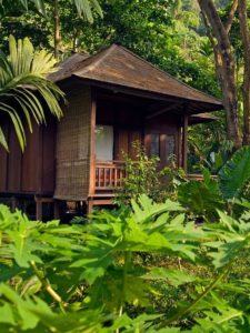 Heading to Havelock? This Sustainable Nature Stay Opens to a Picture-Perfect Andaman Beach