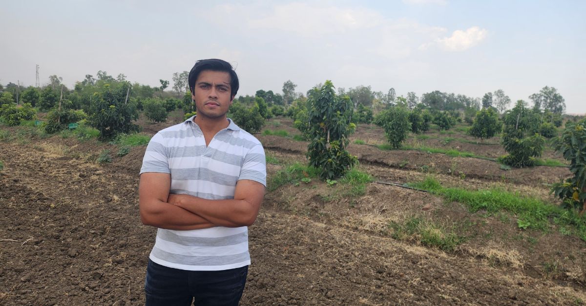 Farmer Grows Avocados in Bhopal’s Heat; Has a Turnover of Rs 1 Crore