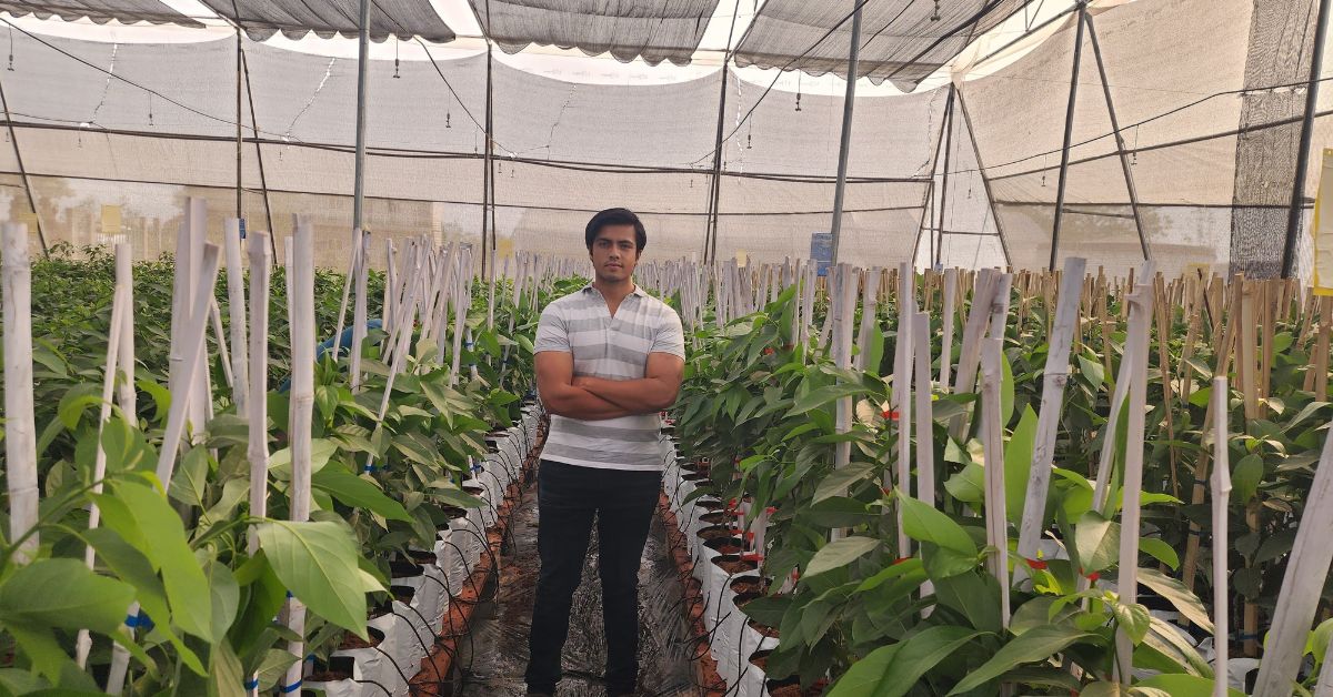 Harsh went to Israel to learn the ins and outs of avocado farming. 