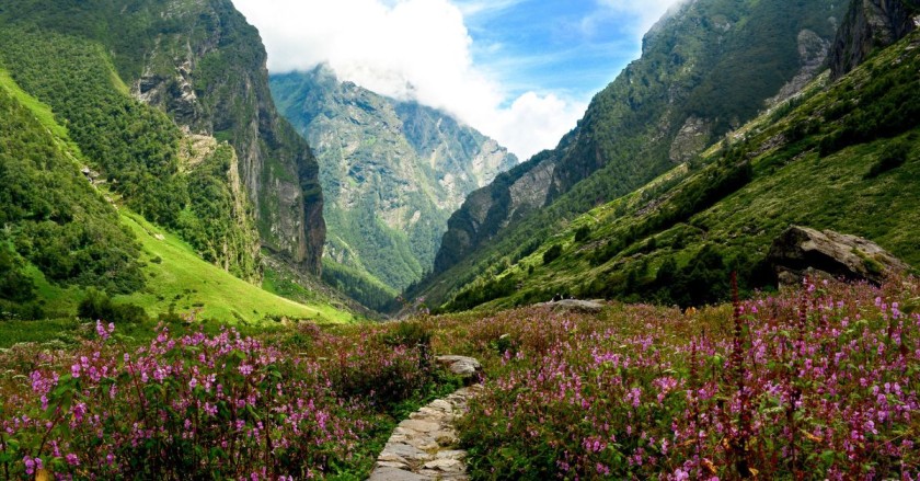 Uttarakhand’s Valley of Flowers Opens in June: A Complete Guide for India’s Most Beautiful Trek