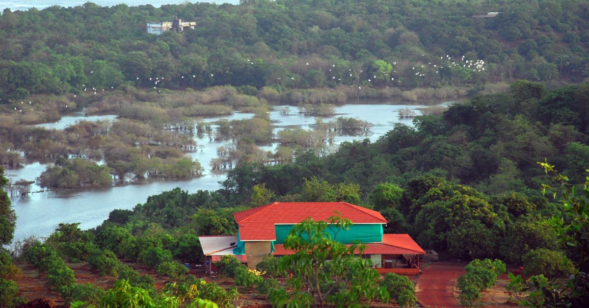 The homestay is a converted packing unit and boasts over 2000 alphonso mango trees