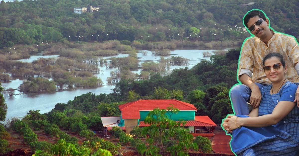 With 2000 Alphonso Mango Trees, Couple’s Organic Farmstay is The Perfect Summer Getaway