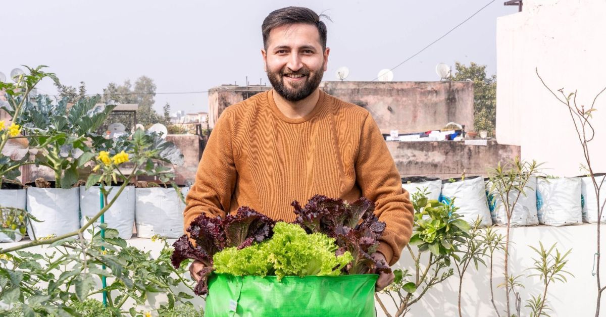 mayank sharma grows terrace garden in delhi apartment