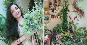 In Meerut, a Woman Turned Grief Into a 300-Plant Terrace Garden Built From 99% Upcycled Items