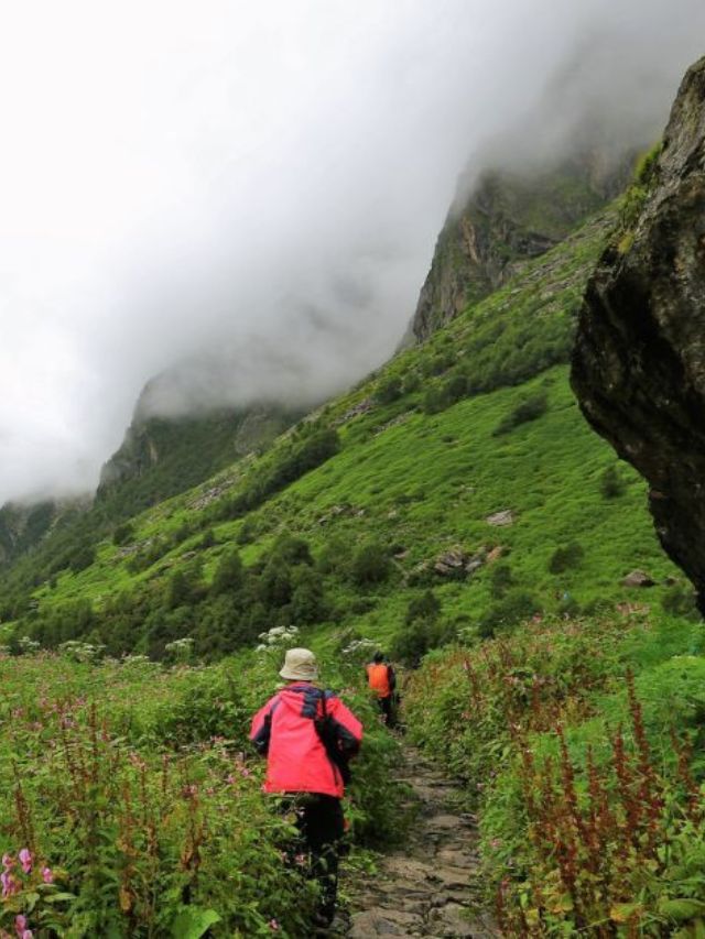 Valley of Flowers: Your Ultimate Guide To India's Most Beautiful Trek