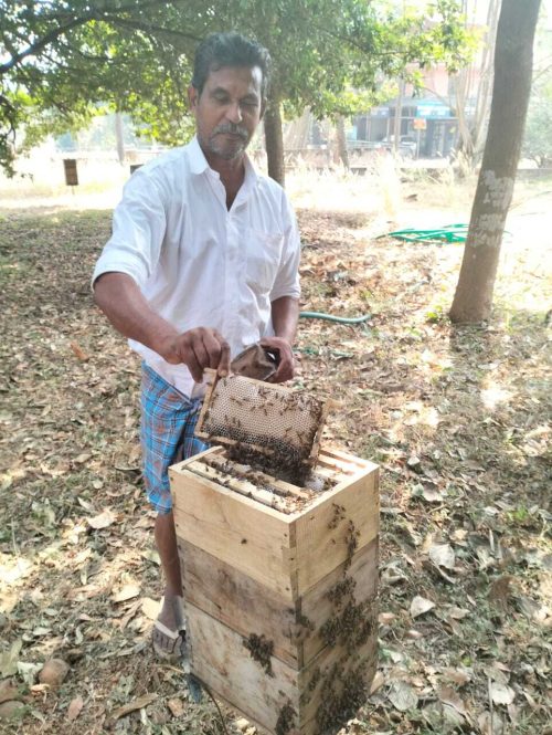 Vishwan es un agricultor de miel que gana miles de rupias en su granja, donde cosecha más de 6.000 cajas de abejas.