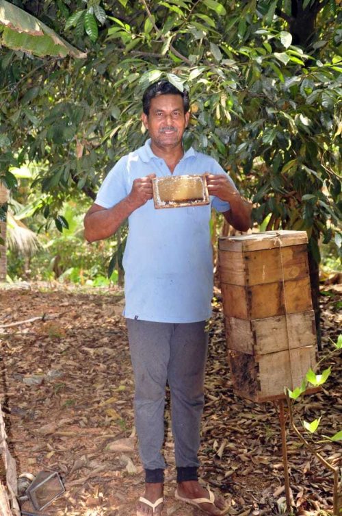 Actualmente, Vishwan vende miel cosechada a empresas farmacéuticas en Chennai y Bengaluru. 