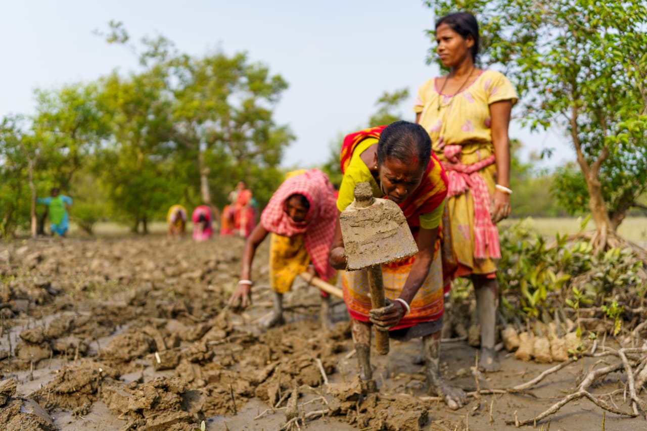 Women preparing the land for plantation.